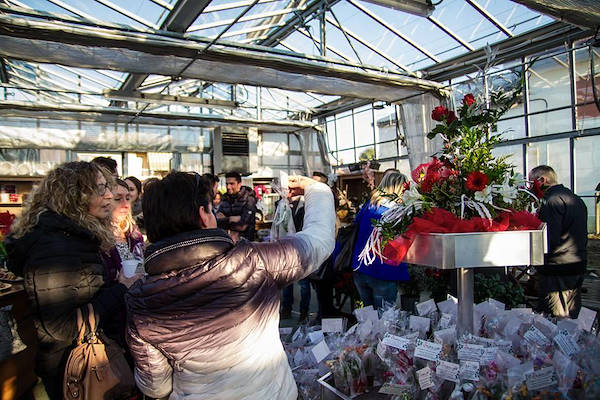 Agriflora: turning a passion into a job