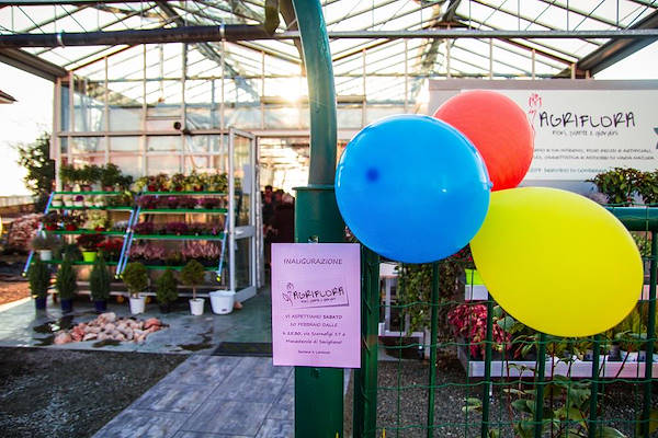 Agriflora: turning a passion into a job