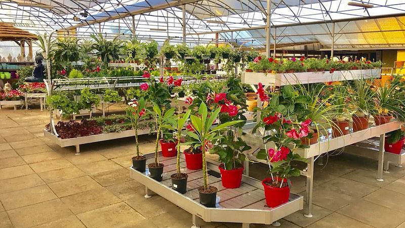 Il restyling di Alfa Garden Center in Portogallo