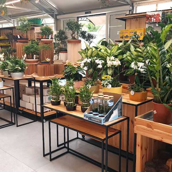 Le Garden Center Il Tulipano se renouvelle avec style