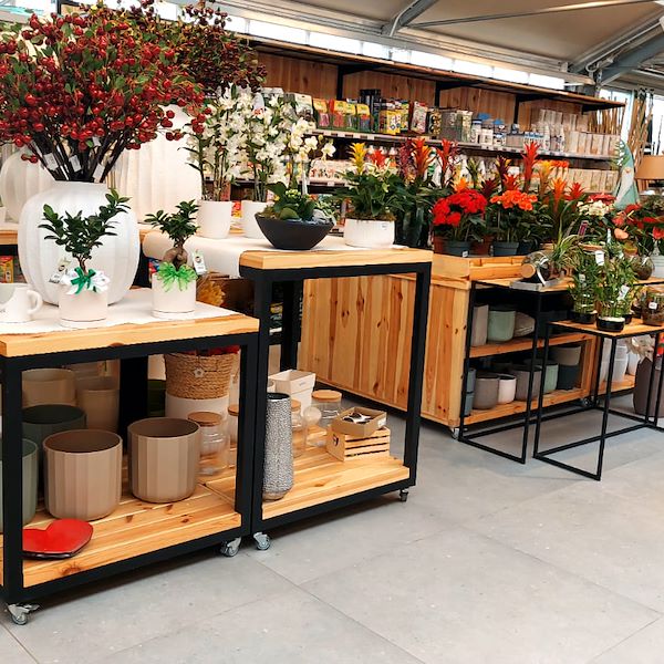 El Garden Center Il Tulipano se renueva con estilo