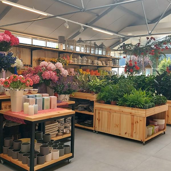 Le Garden Center Il Tulipano se renouvelle avec style