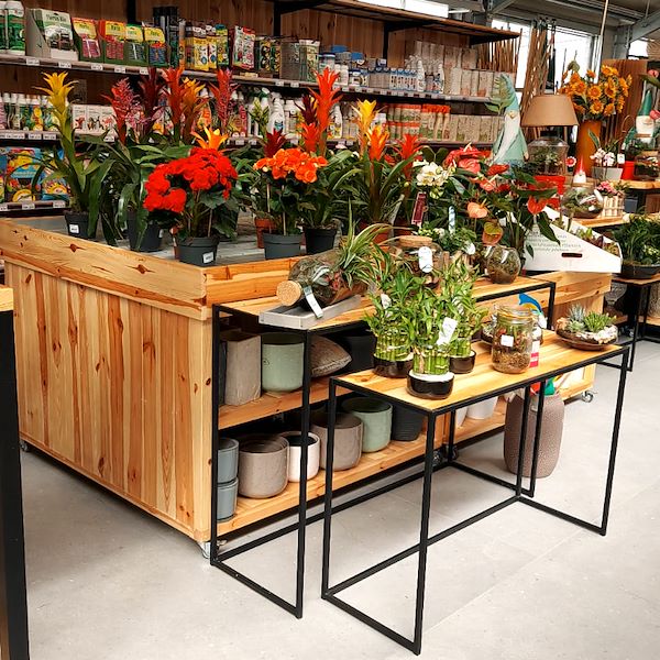 Le Garden Center Il Tulipano se renouvelle avec style