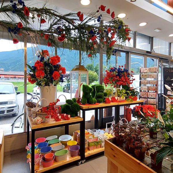 Das Gartencenter „Il Tulipano“ erstrahlt in neuem Stil