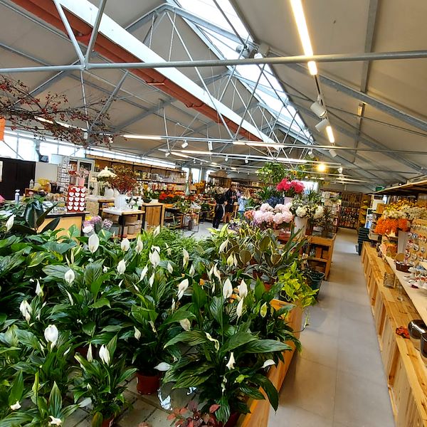 Le Garden Center Il Tulipano se renouvelle avec style