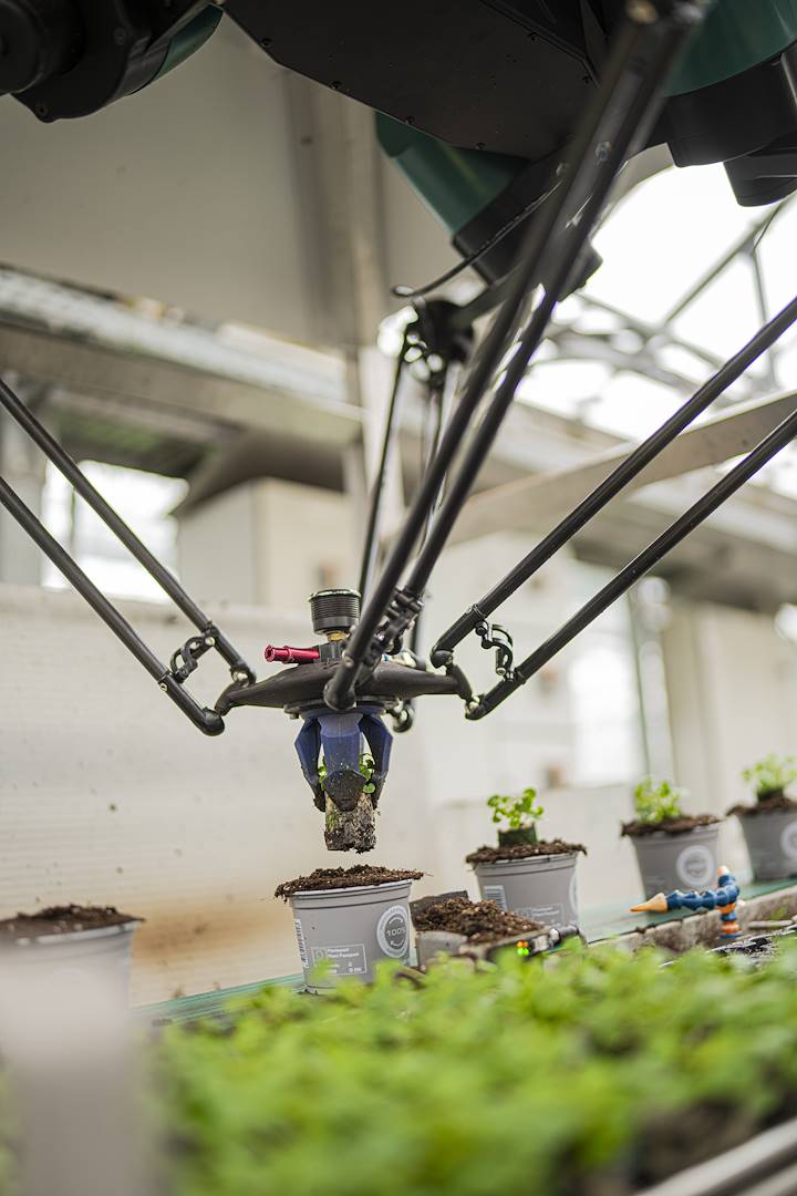 Der Roboter, der die Landwirtschaft revolutioniert, ist da: Rekordeffizienz in den Gewächshäusern der Zukunft