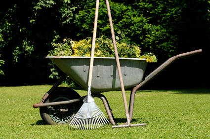 Aumento record di giardinieri, come distinguersi dalla concorrenza?