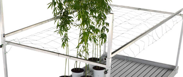 Ausrüstung für die Herstellung von Pflanzen und Blumen