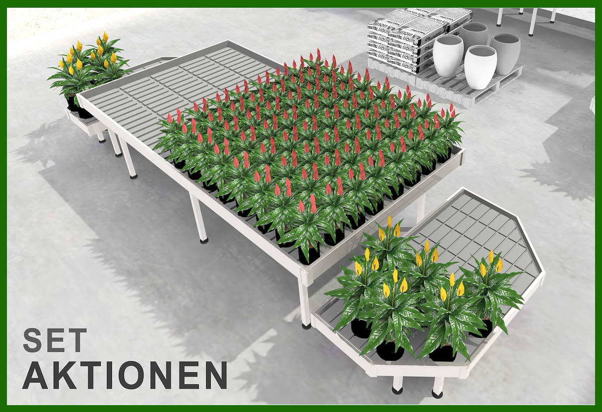 AUSSTELLUNGSMODELLE FÜR PFLANZEN UND BLUMEN