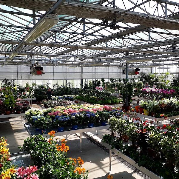 Feste Verkaufstische aus Aluminium zum Zusammenbauen