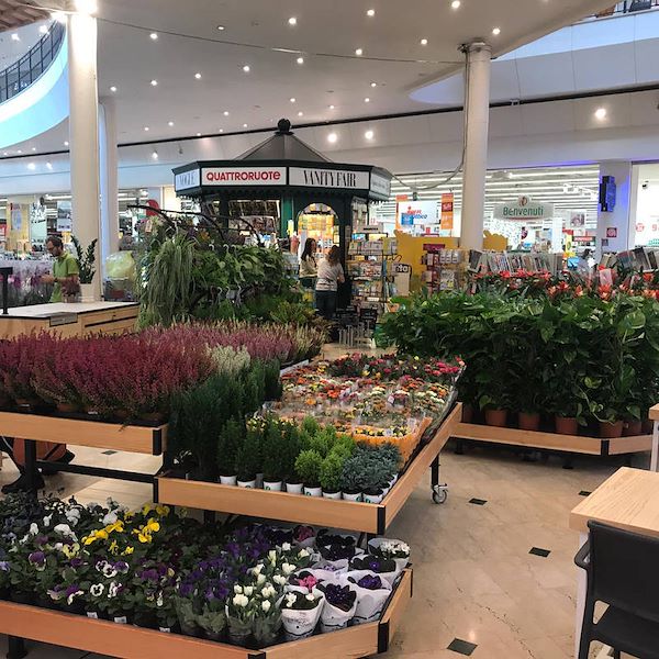 Holztisch Linie AMOR