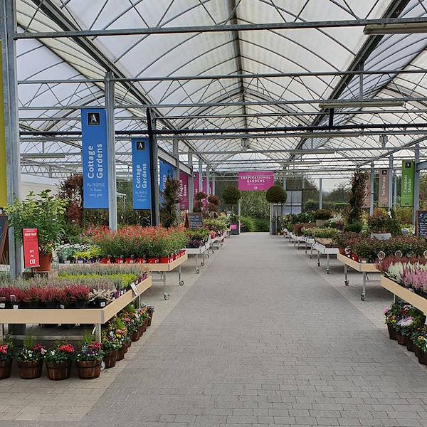 Holztisch Linie AMOR