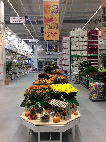 BauCenter is pleased to introduce its new plant and flower area