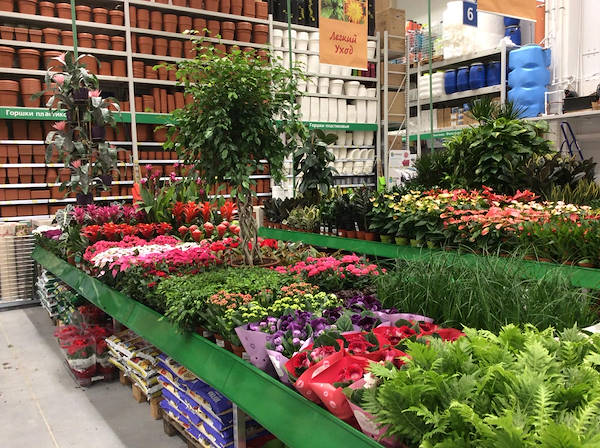 BauCenter präsentiert die neue Pflanzen- und Blumenabteilung