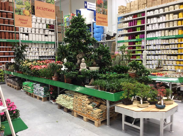 BauCenter presenta su nueva zona de plantas y flores