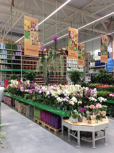 BauCenter presenta su nueva zona de plantas y flores