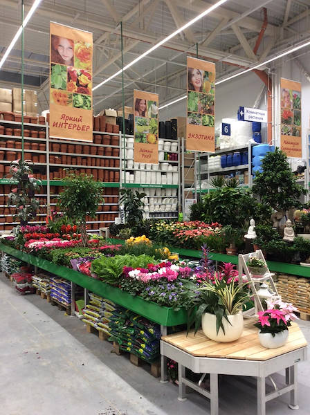 BauCenter présente le nouvel espace plantes & fleurs