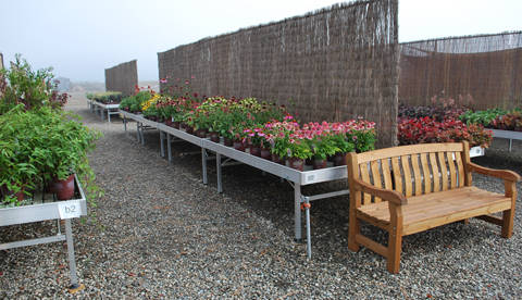 Blooming Nursery, Oregon (USA), un anno dopo la fornitura di bancali ed espositori in alluminio