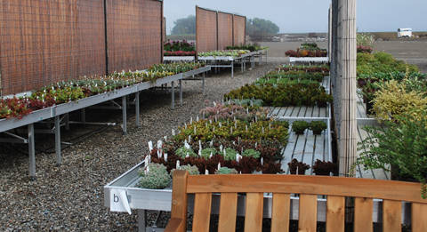 Blooming Nursery, Oregon (USA), un anno dopo la fornitura di bancali ed espositori in alluminio