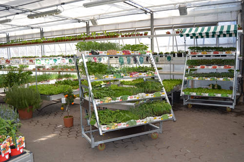 CABRIOLET VERKAUFSSTÄNDER: von den Transport zu der Ausstellung in einem KLICK