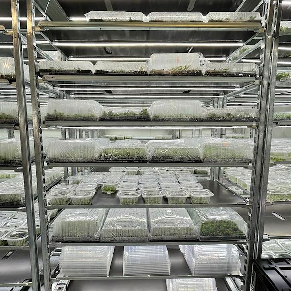 DC-Pflanzenwagen mit LED-Leuchtenset für KEIMUNG UND VEREDELUNG