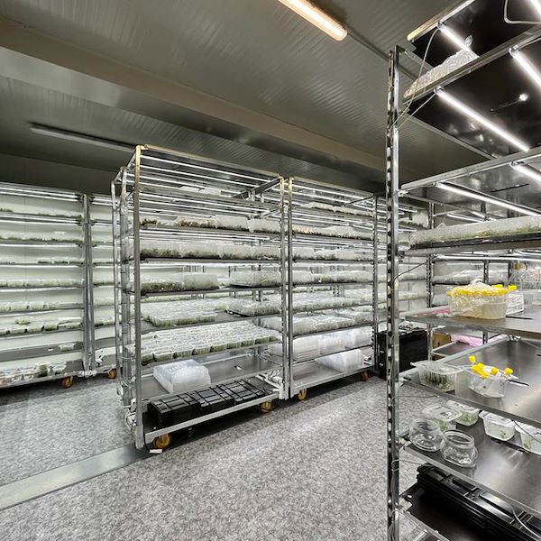 Carrello DC con kit luci led per GERMINAZIONE E INNESTO