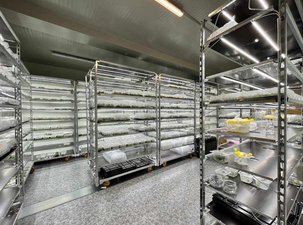 Carrello DC con kit luci led per GERMINAZIONE E INNESTO