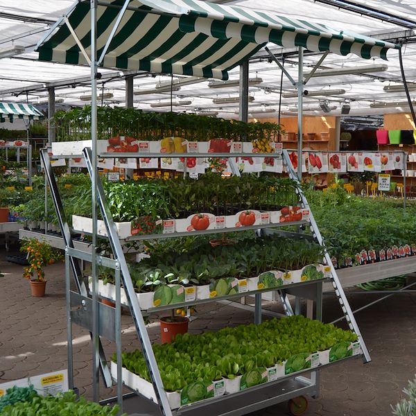 Cabriolet-Verkaufsständer