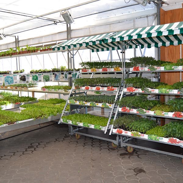 Cabriolet-Verkaufsständer