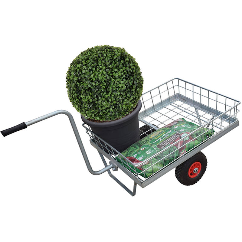 Carrello oro