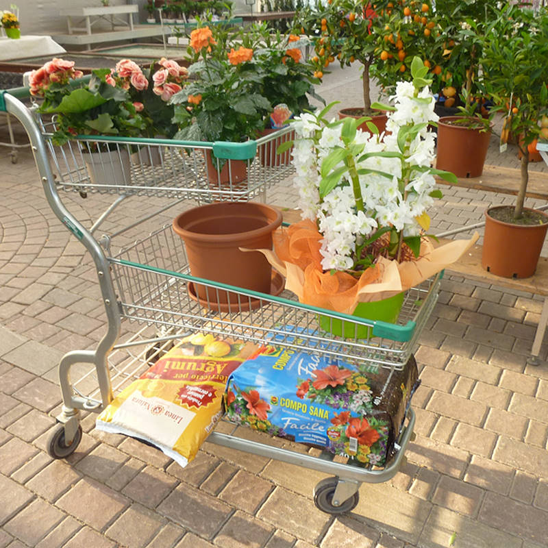 Carrito auto servicio Garden flor 3 repisas