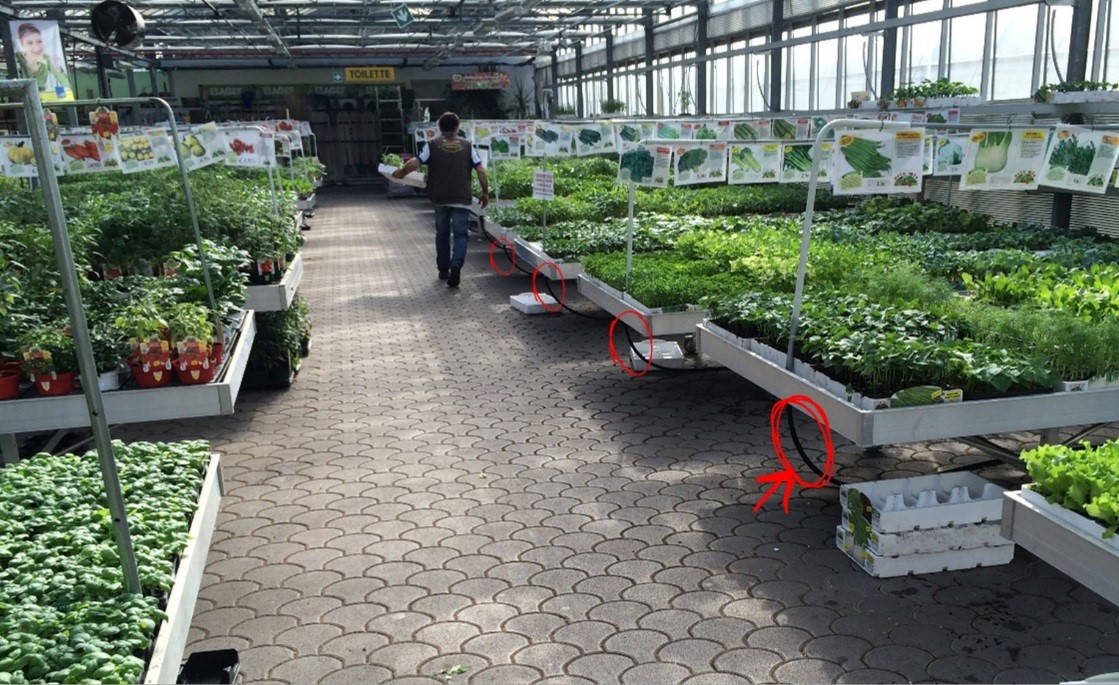 Come gestire l’irrigazione di fiori e piante in un punto vendita