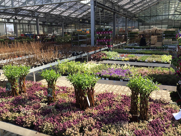 Garden Center - espace ext&eacute;rieur