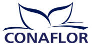 Confindustria (Conféderation de l'industrie italienne) Mantoue et Organizzazione Orlandelli