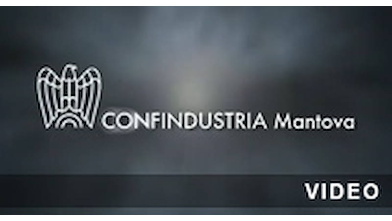 Confindustria Mantova and Organizzazione Orlandelli
