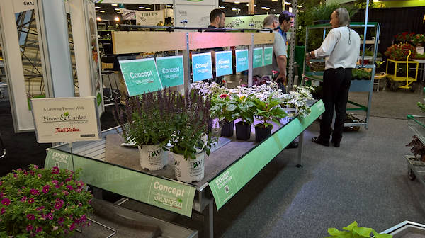 Cultivate '16 - Une expérience Hort-Américaine