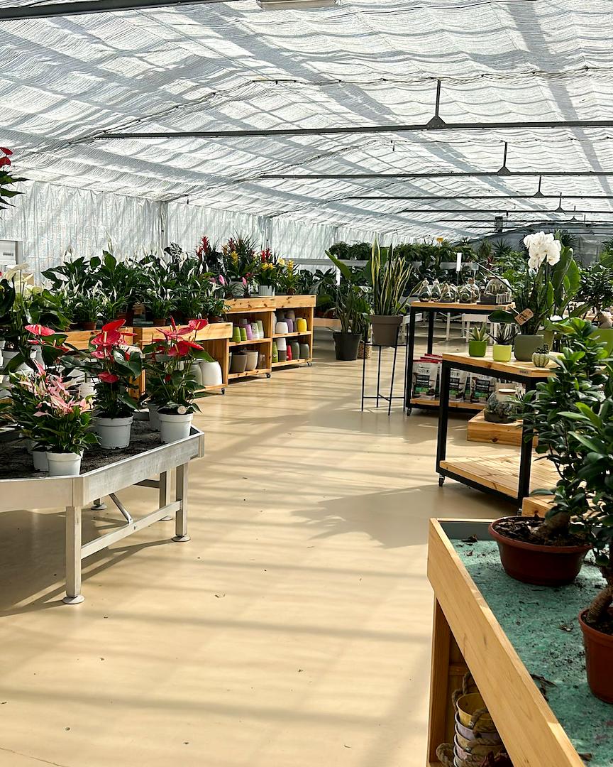 Vom Baumschulbetrieb zum Garden Center: Das Restyling von Floricoltura Benda