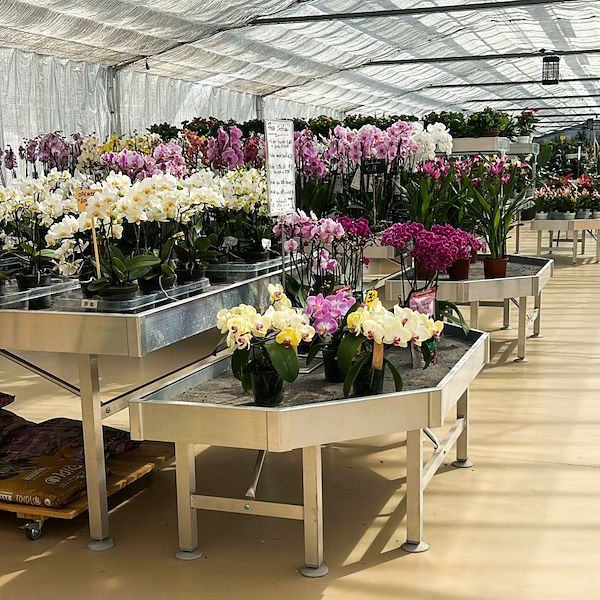 Vom Baumschulbetrieb zum Garden Center: Das Restyling von Floricoltura Benda