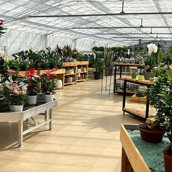 Vom Baumschulbetrieb zum Garden Center: Das Restyling von Floricoltura Benda