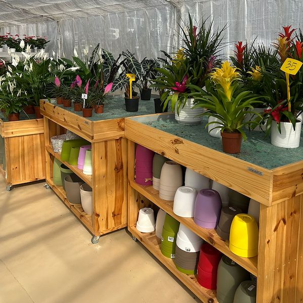 Vom Baumschulbetrieb zum Garden Center: Das Restyling von Floricoltura Benda