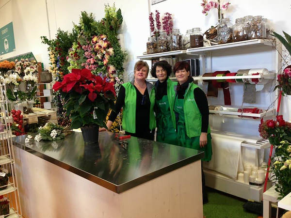 Das neue Konzept Paviotti von Orlandelli