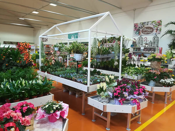 Das neue Konzept Paviotti von Orlandelli