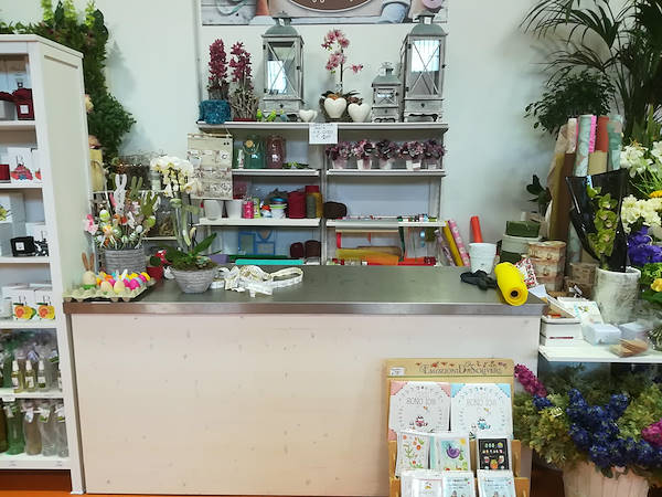 Das neue Konzept Paviotti von Orlandelli