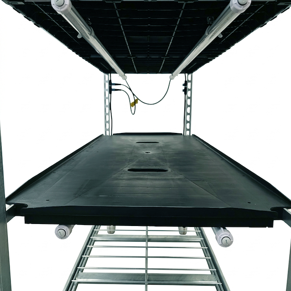 Gitterwagen 1350 mit TUBE WHITE PAR LED-Keimungsleuchten