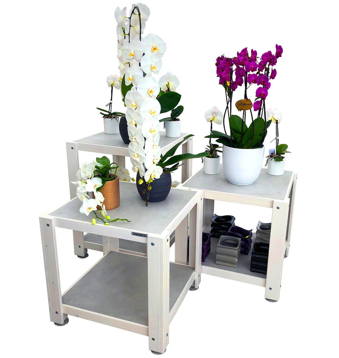 Die neue Kombination Orlandelli