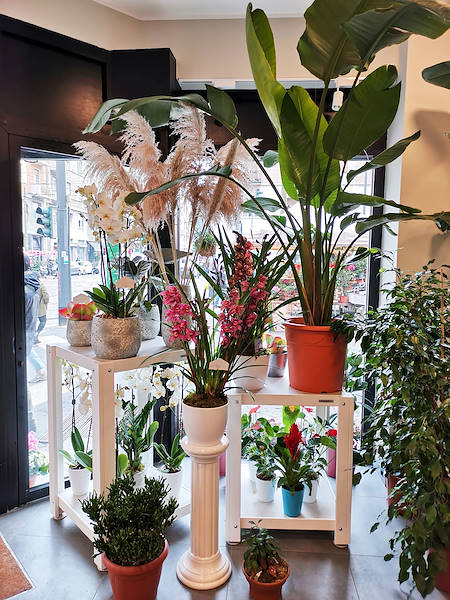 Die Oasi dei fiori in Mailand erhält ein neues, junges und elegantes Layout