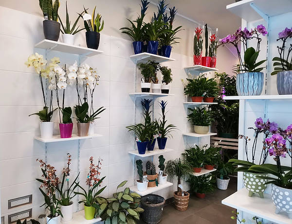 Die Oasi dei fiori in Mailand erhält ein neues, junges und elegantes Layout