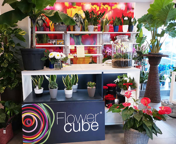 Die Oasi dei fiori in Mailand erhält ein neues, junges und elegantes Layout