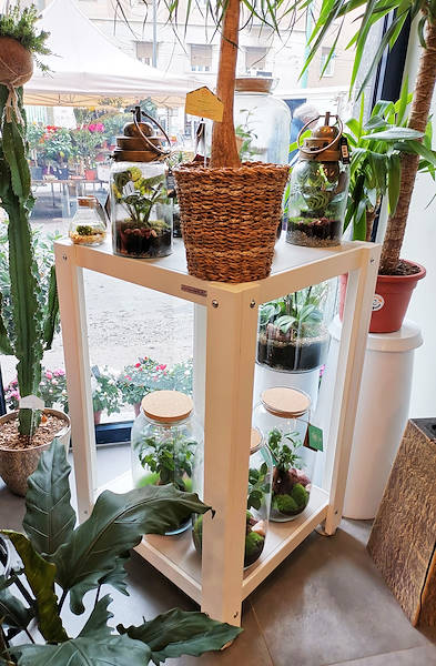 Die Oasi dei fiori in Mailand erhält ein neues, junges und elegantes Layout