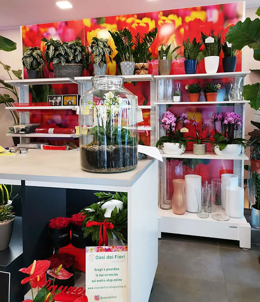 Die Oasi dei fiori in Mailand erhält ein neues, junges und elegantes Layout